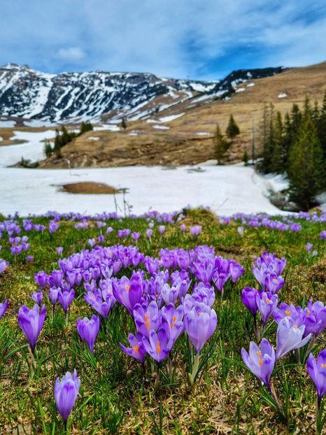  - 25 Valea Cocorei - mai 2022