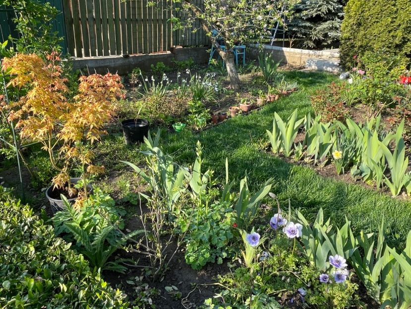 19D3B61C-8C67-4555-8E00-06D6F8193E5C - 01 Primăvara 2023