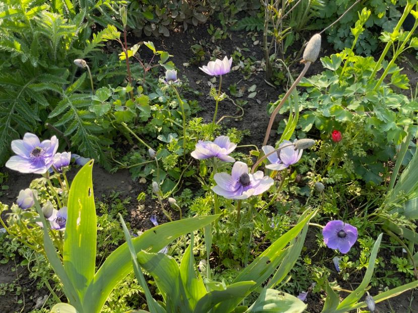 056B8E9D-41C5-4079-8831-E4811B127D17 - 01 Primăvara 2023