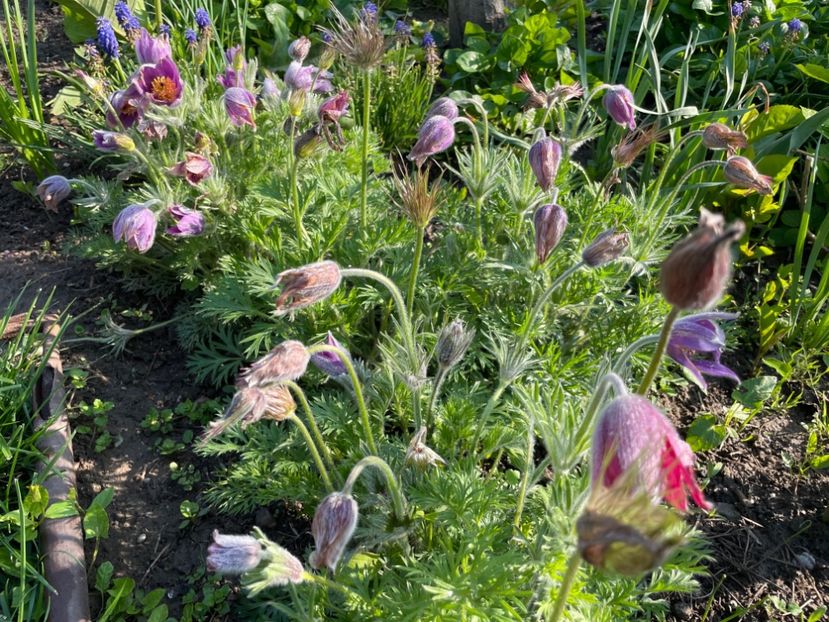 BF64577B-FCCC-444E-B0F5-A662B5D7844B - 01 Primăvara 2023