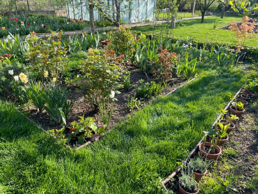 9240209D-E0CB-442C-8DC1-8DB4FD020294 - 01 Primăvara 2023