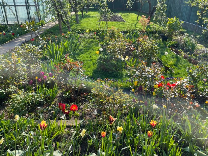 81286B99-9391-4855-8FBF-0A4704FD97B5 - 01 Primăvara 2023