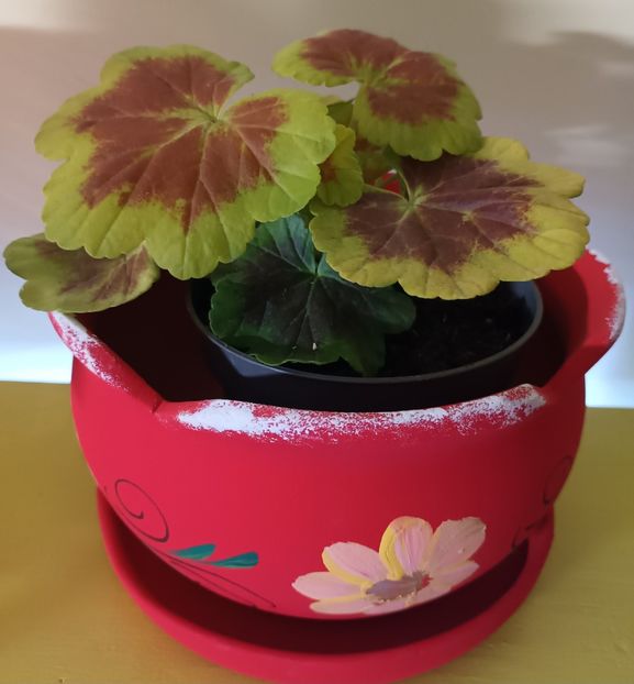 In dar de ziua mea... - Albumul Floricelelor