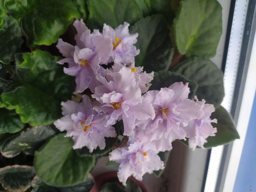 23 aprilie 2023 - Fantasy Fiesta