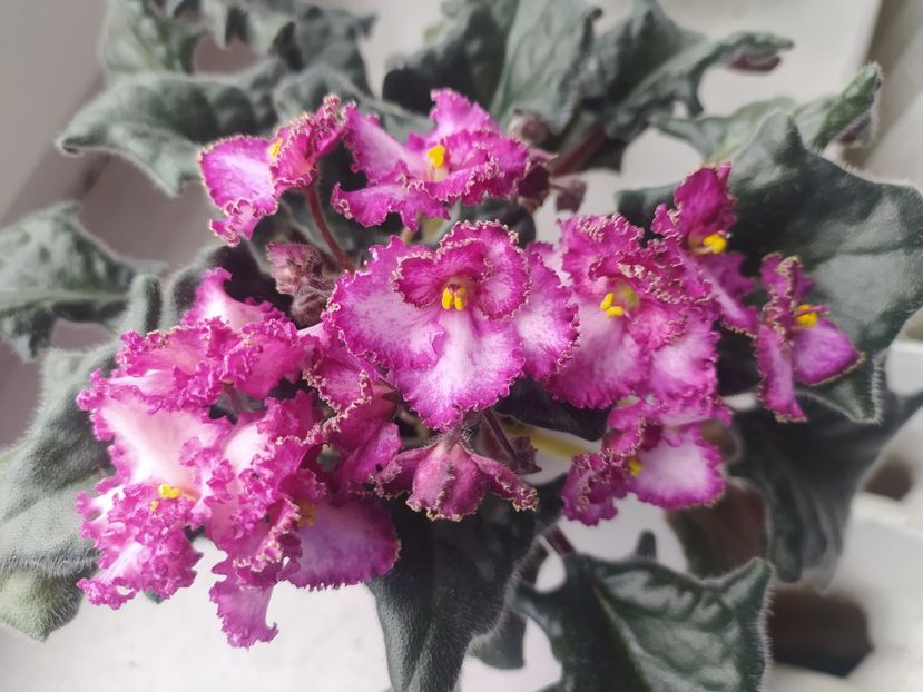 23 aprilie 2023 - Sunset Beach