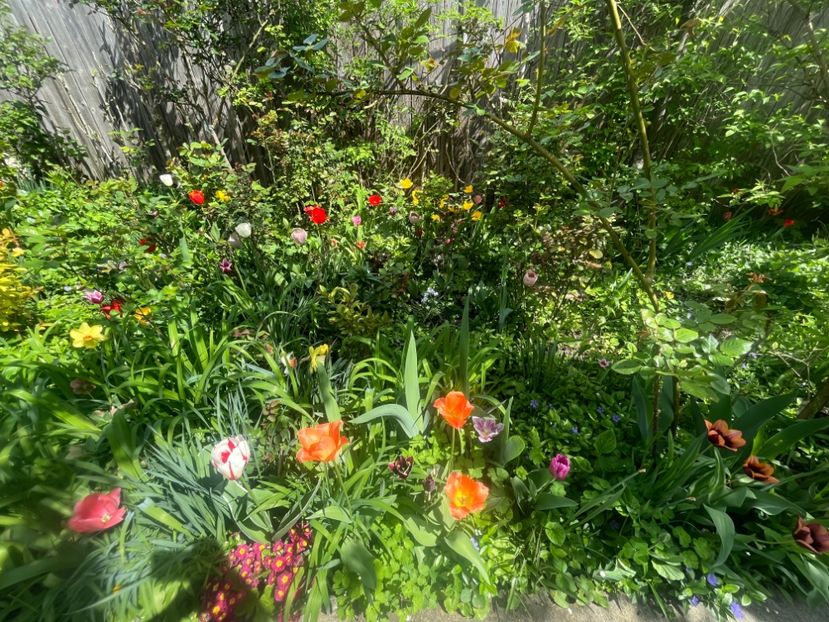 02F99F1F-FF2B-4E3F-A305-E76BF5D9C691 - Lalele 2023