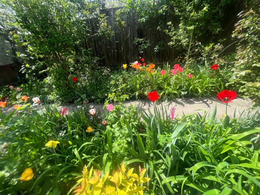 22BA956E-044C-48E7-B263-1F832FD50A80 - Lalele 2023