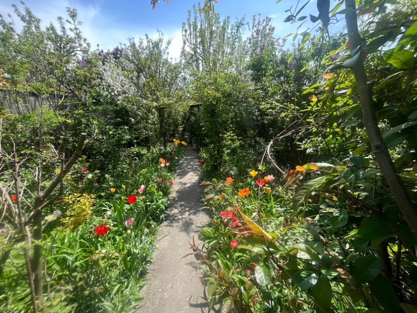 9059ED69-7BCD-4A00-A173-495236AA9DE0 - Lalele 2023