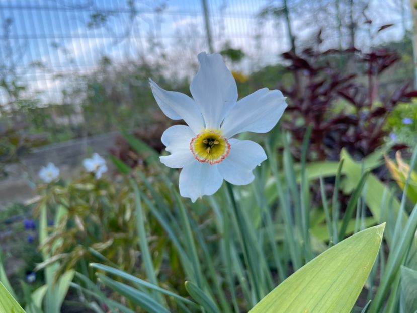 9BF0F771-E93F-4CE3-8B8B-760AD2345E5B - 01 Primăvara 2023