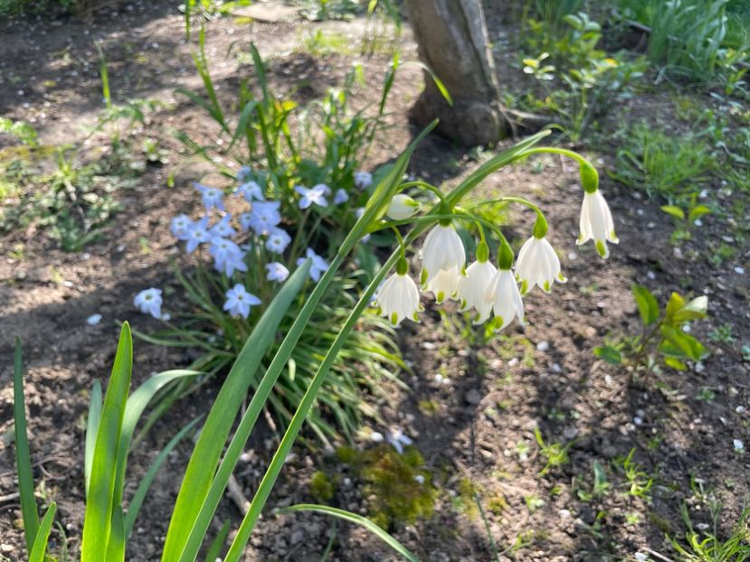 BAB3E12D-2078-46E9-9606-1877A2BC08C9 - 01 Primăvara 2023