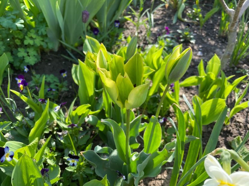 5F714D53-2EDA-416A-810A-7F7D445CA11C - 01 Primăvara 2023