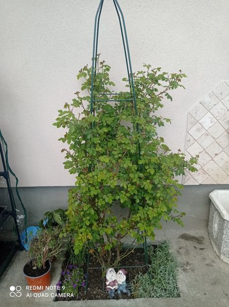 Bathsheba- 23 aprilie 2023 - Bathsheba