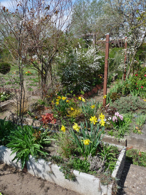  - 2023 - 01 - Primavara