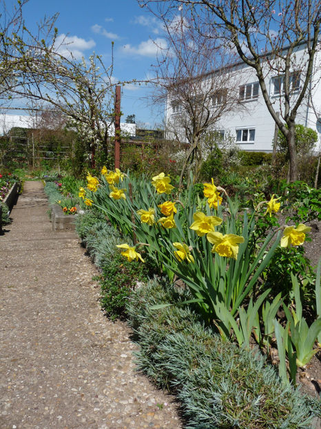  - 2023 - 01 - Primavara