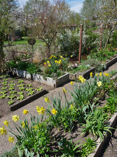  - 2023 - 01 - Primavara