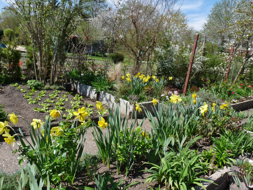  - 2023 - 01 - Primavara