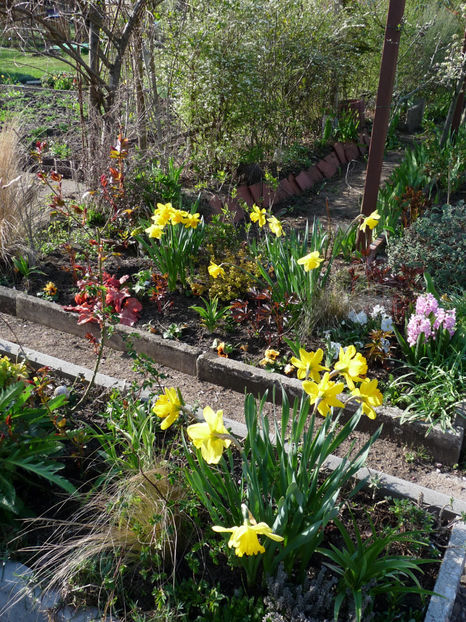  - 2023 - 01 - Primavara