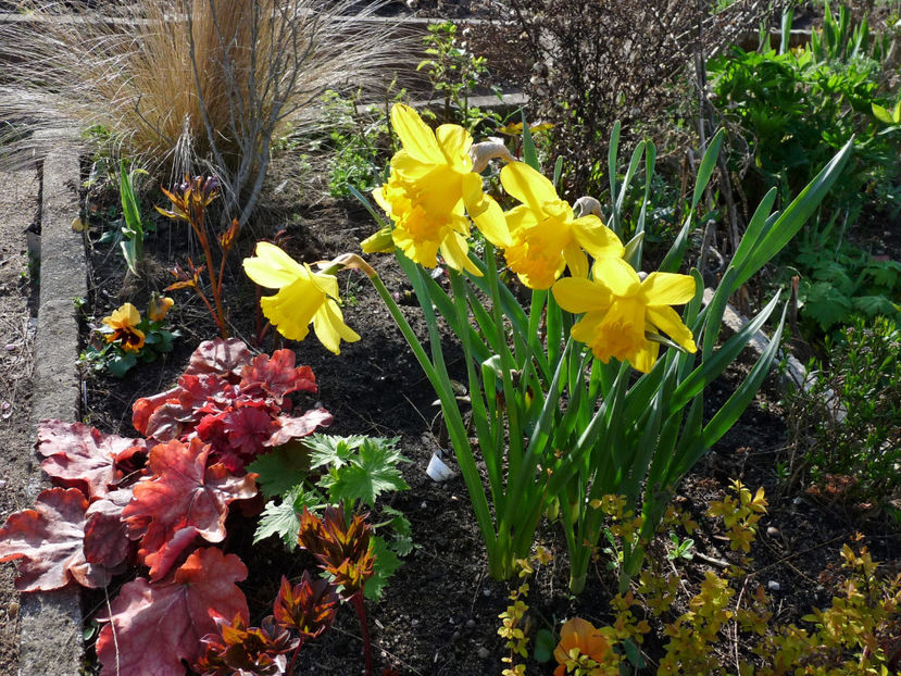  - 2023 - 01 - Primavara