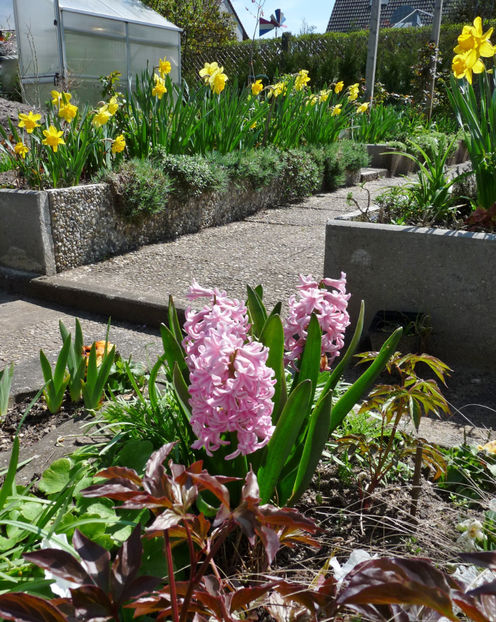  - 2023 - 01 - Primavara