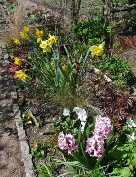  - 2023 - 01 - Primavara