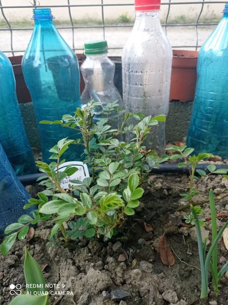 Ghislaine de Feligonde 23 aprilie 2023 - Ghislaine de Feligonde