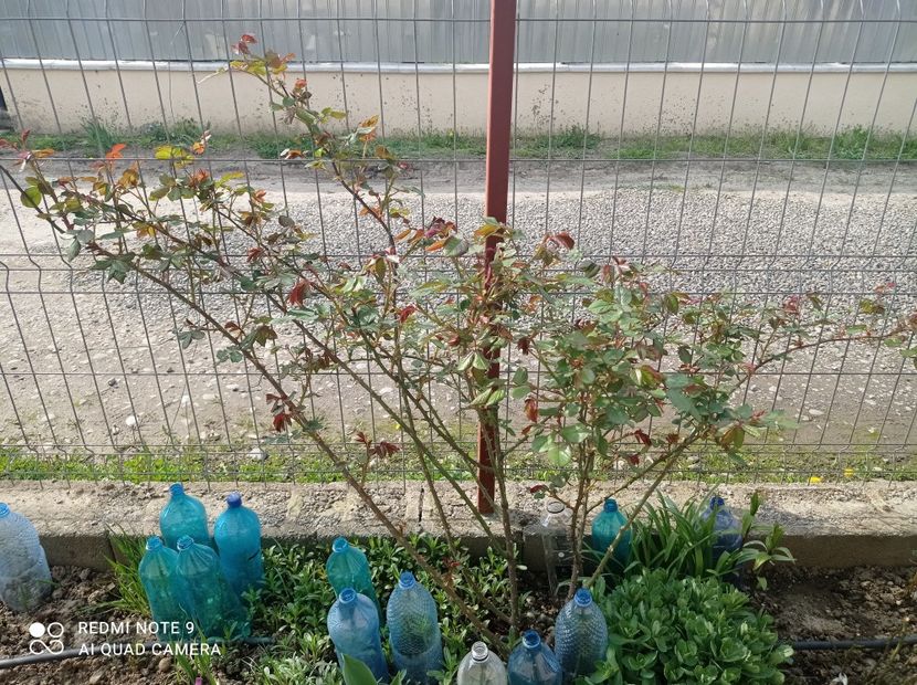 Westerland 23 aprilie 2023 - Westerland