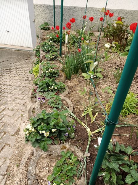 Img.2023.04.22 - A doua grădină