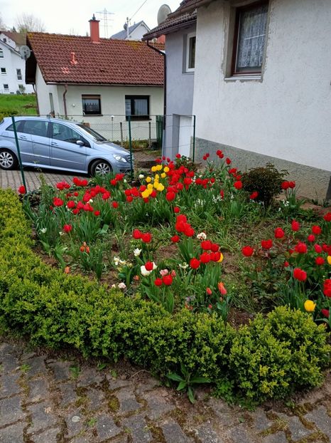 Img.2023.04.22 - A doua grădină