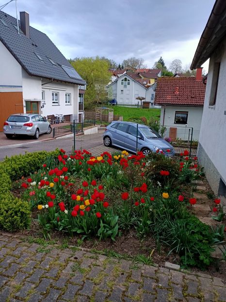 Img.2023.04.22 - A doua grădină