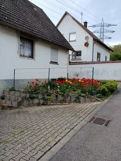 Img.2023.04.22 - A doua grădină