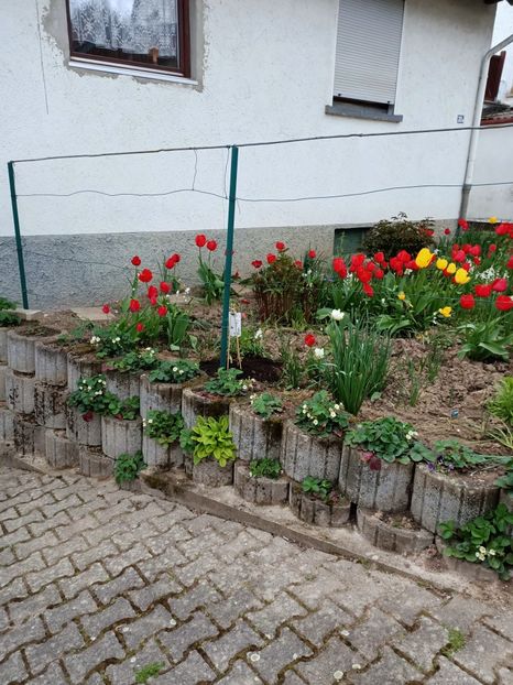 Img.2023.04.22 - A doua grădină