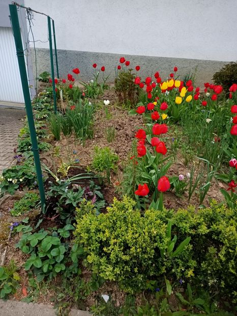 Img.2023.04.22 - A doua grădină