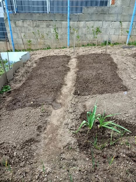 Img.2023.04.22 - A doua grădină
