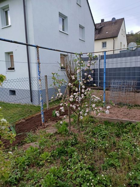 Img.2023.04.22 - A doua grădină