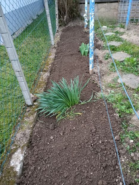 Img.2023.04.22 - A doua grădină