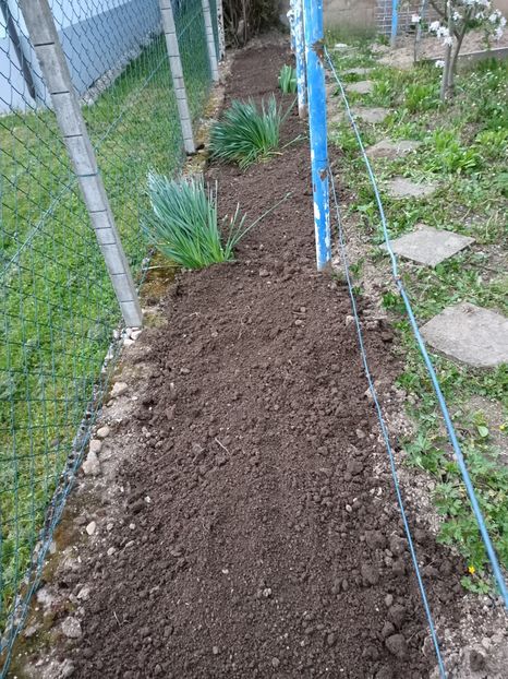 Img.2023.04.22 - A doua grădină