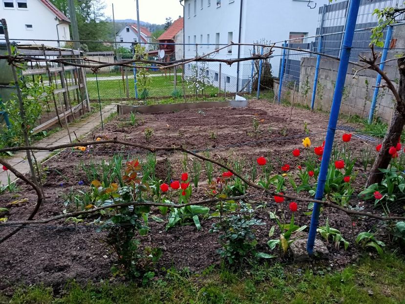 Img.2023.04.22 - A doua grădină