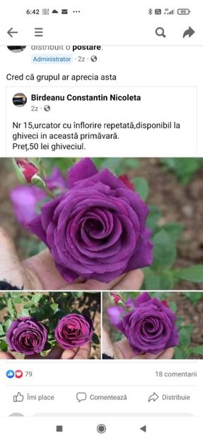 Așa ar trebui sa arate - Mov urcator