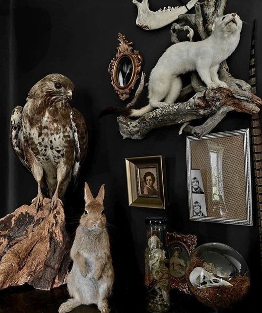 What a ਹoy to have them exhibited like this. It‵s like I can sense the Fear in their lifeless eyes. - Collection of Tintypes