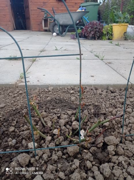 23 aprilie 2023 - Hocus pocus