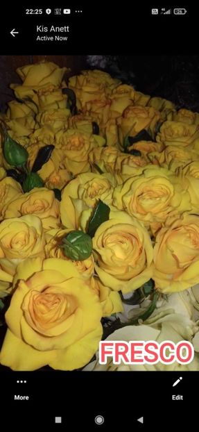 Așa ar trebui sa arate - Fresco