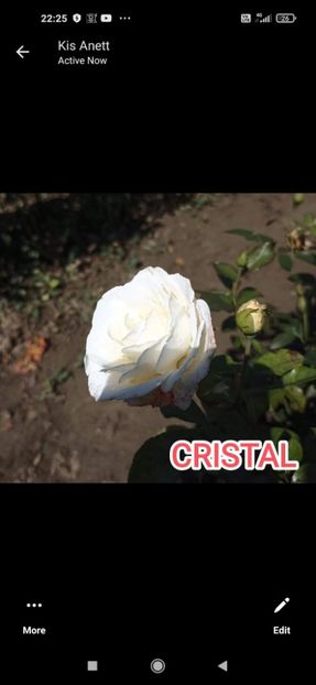 Așa ar trebui sa arate - Cristal