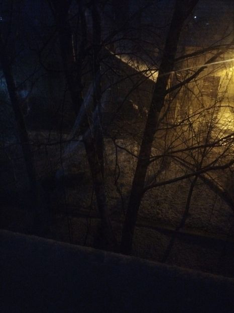 6bcf57a0-a9fe-4fc3-be28-840117857817 - 2023 APOLLO SÂNGEORGIU DE MURES 26-27-28 aprilie