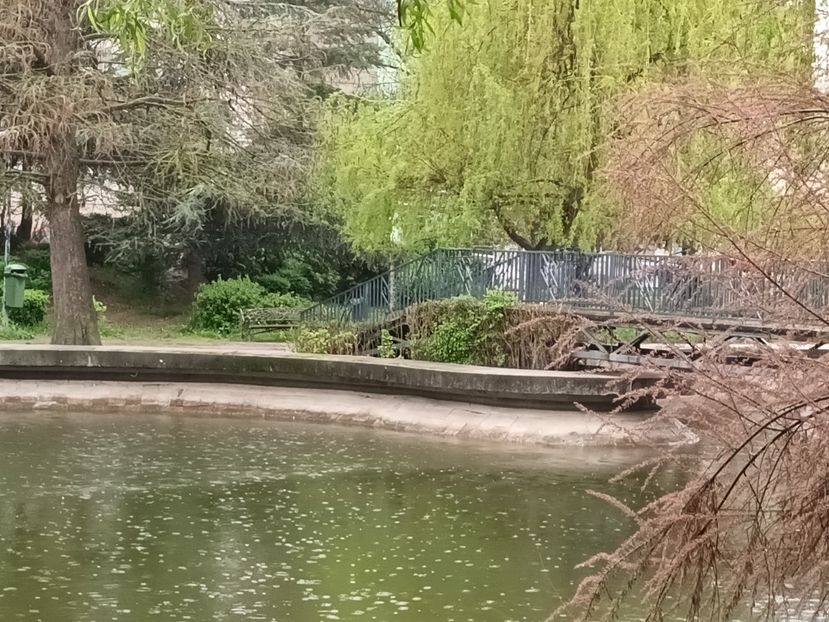  - Căutând bucuria la pas