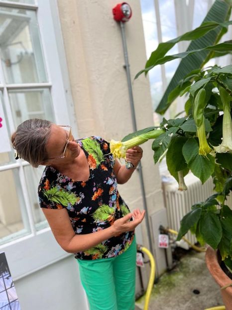 0a745801-9d19-4fef-92af-1f6c5c2d8a96 - Gradina botanica Londra