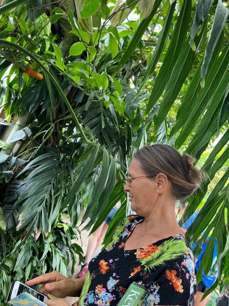 2a47e5bb-932c-4bd3-a18a-5448eb24e0fa - Gradina botanica Londra