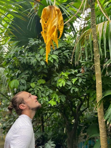 2d62810c-ea8d-4f4e-ba57-a2c1ef86c102 - Gradina botanica Londra