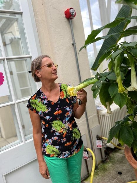 05eec8aa-f0f3-4bb3-b9b7-0ff86fc17cd3 - Gradina botanica Londra