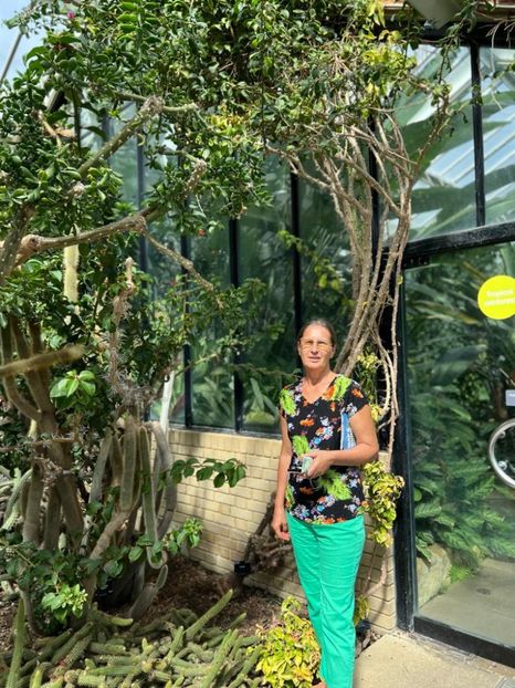 6eab723f-5a3a-4b84-94b7-df10d3cf6cf7 - Gradina botanica Londra