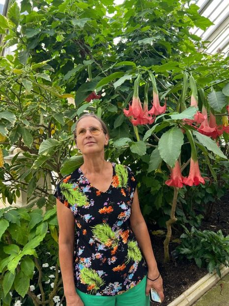 9c227b8b-757d-4db2-9bc1-48b4c1e7efc4 - Gradina botanica Londra